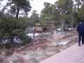 2005_02-GrandCanyon_08