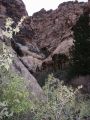 2005_02-RedRockCanyon_09