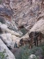 2005_02-RedRockCanyon_10